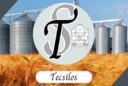 TecSilos